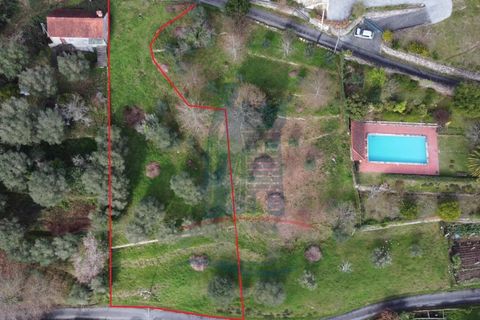 Helårsgrund i Serdedelo, Viana do Castelo, Serdedelo - € 48.000 | Ref: 5564 - foto 2
