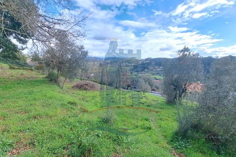 Helårsgrund i Serdedelo, Viana do Castelo, Serdedelo - € 48.000 | Ref: 5564 - foto 5