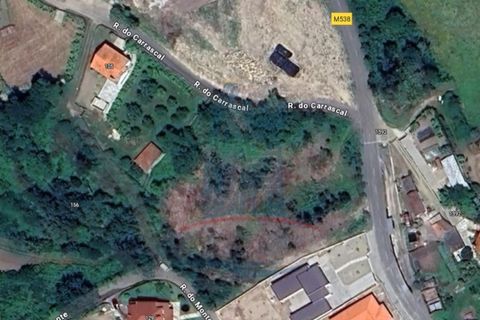 Helårsgrund i Ponte de Lima, Viana do Castelo, Ponte de Lima - € 65.000 | Ref: 6215 - foto 2