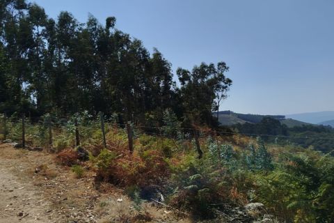 Tomt i Ponte de Lima, Viana do Castelo, Ponte de Lima - € 50 000 | Ref: 6212 - foto 2