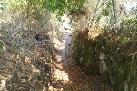 Tomt i Ponte de Lima, Viana do Castelo, Ponte de Lima - € 50 000 | Ref: 6212 - foto 3