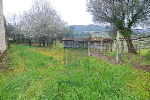 Villa i Ponte de Lima, Viana do Castelo, Ponte de Lima - € 398.000 | Ref: 6193 - foto 9
