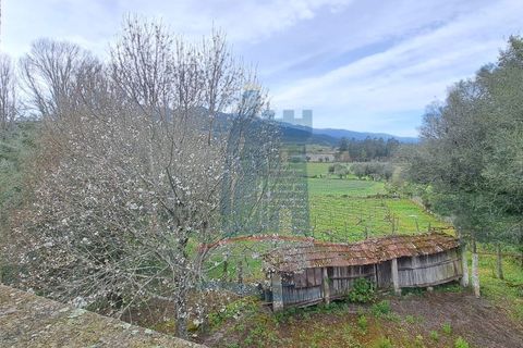 Villa i Ponte de Lima, Viana do Castelo, Ponte de Lima - € 398.000 | Ref: 6193 - foto 11