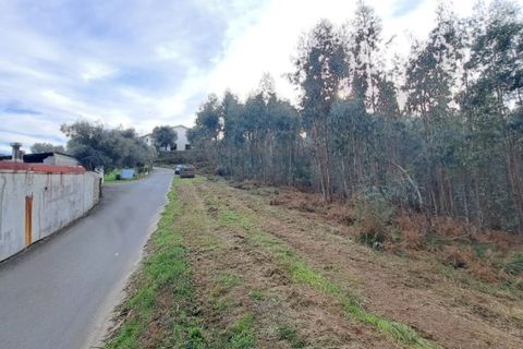 Tomt i Ponte de Lima, Viana do Castelo, Ponte de Lima - € 58 000 | Ref: 6087 - foto 7