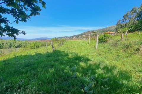 Helårsgrund i Ponte de Lima, Viana do Castelo, Ponte de Lima - € 29.000 | Ref: 6014 - foto 2
