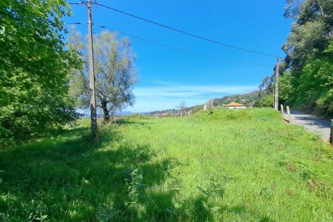 Helårsgrund i Ponte de Lima, Viana do Castelo, Ponte de Lima - € 29.000 | Ref: 6014 - foto 3