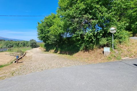 Helårsgrund i Ponte de Lima, Viana do Castelo, Ponte de Lima - € 29.000 | Ref: 6014 - foto 4