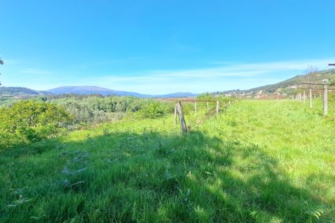 Helårsgrund i Ponte de Lima, Viana do Castelo, Ponte de Lima - € 29.000 | Ref: 6014 - foto 5