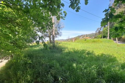 Helårsgrund i Ponte de Lima, Viana do Castelo, Ponte de Lima - € 29.000 | Ref: 6014 - foto 6