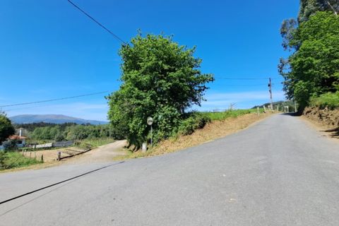 Helårsgrund i Ponte de Lima, Viana do Castelo, Ponte de Lima - € 29.000 | Ref: 6014 - foto 7