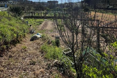 Helårsgrund i Ponte de Lima, Viana do Castelo, Ponte de Lima - € 29.500 | Ref: 5962 - foto 3