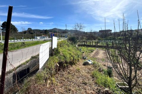 Helårsgrund i Ponte de Lima, Viana do Castelo, Ponte de Lima - € 29.500 | Ref: 5962 - foto 4