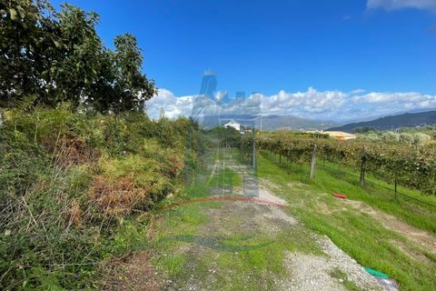 Helårsgrund i Ponte da Barca, Viana do Castelo, Ponte da Barca - € 48.500 | Ref: 6015 - foto 3