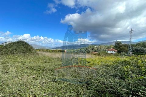 Helårsgrund i Ponte da Barca, Viana do Castelo, Ponte da Barca - € 48.500 | Ref: 6015 - foto 4