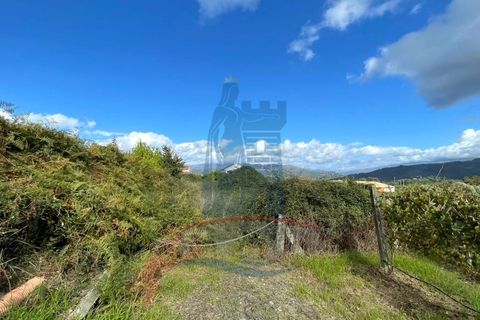 Helårsgrund i Ponte da Barca, Viana do Castelo, Ponte da Barca - € 48.500 | Ref: 6015 - foto 5
