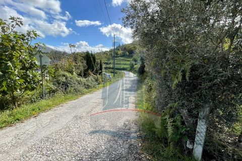 Helårsgrund i Ponte da Barca, Viana do Castelo, Ponte da Barca - € 48.500 | Ref: 6015 - foto 6
