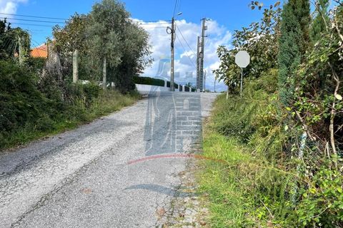 Helårsgrund i Ponte da Barca, Viana do Castelo, Ponte da Barca - € 48.500 | Ref: 6015 - foto 8