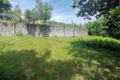 Terra a Calvelo, Viana do Castelo, Calvelo - € 75.000 | Ref: 5733 - foto 2