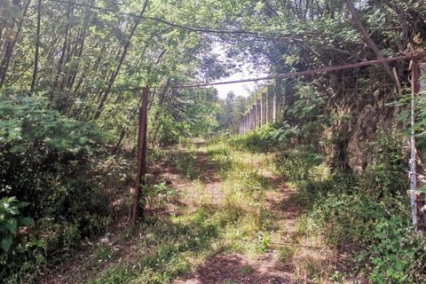 Terra a Calvelo, Viana do Castelo, Calvelo - € 75.000 | Ref: 5733 - foto 3