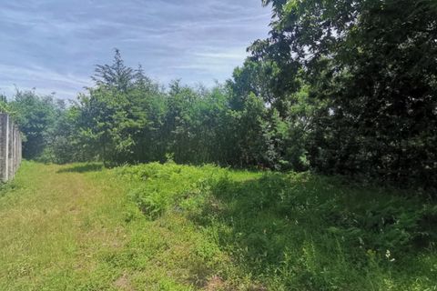 Terra a Calvelo, Viana do Castelo, Calvelo - € 75.000 | Ref: 5733 - foto 4
