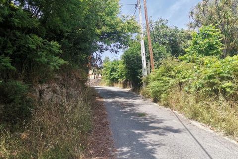 Terra a Calvelo, Viana do Castelo, Calvelo - € 75.000 | Ref: 5733 - foto 5