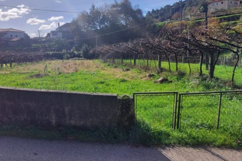 Helårsgrund i Ponte de Lima, Viana do Castelo, Ponte de Lima - € 14.500 | Ref: 5922 - foto 2