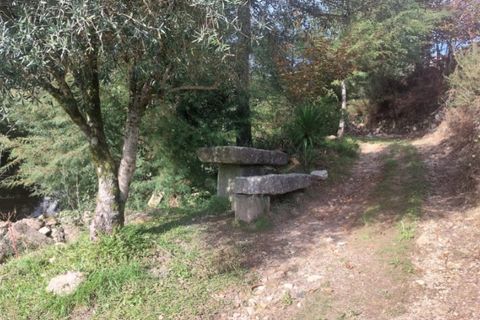 Helårsgrund i Ponte de Lima, Viana do Castelo, Ponte de Lima - € 14.500 | Ref: 5922 - foto 3
