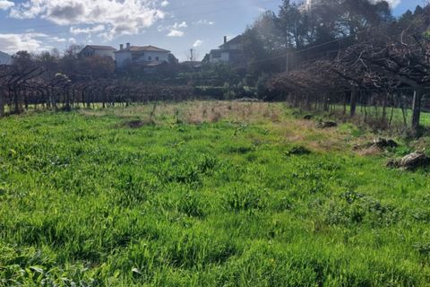 Helårsgrund i Ponte de Lima, Viana do Castelo, Ponte de Lima - € 14.500 | Ref: 5922 - foto 4