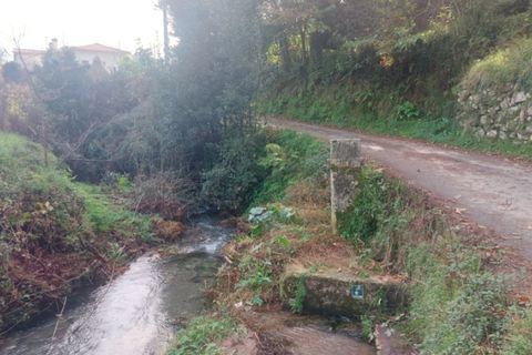 Helårsgrund i Ponte de Lima, Viana do Castelo, Ponte de Lima - € 14.500 | Ref: 5922 - foto 5