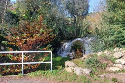 Helårsgrund i Ponte de Lima, Viana do Castelo, Ponte de Lima - € 14.500 | Ref: 5922 - foto 6