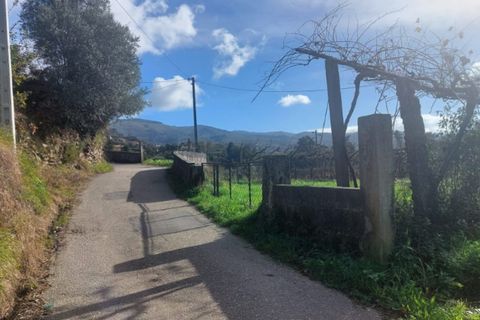 Helårsgrund i Ponte de Lima, Viana do Castelo, Ponte de Lima - € 14.500 | Ref: 5922 - foto 7