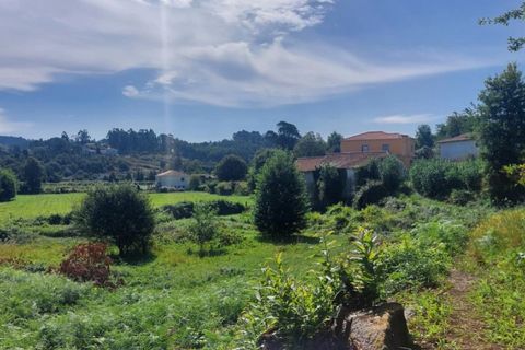 Helårsgrund i Ponte de Lima, Viana do Castelo, Ponte de Lima - € 24.000 | Ref: 5916 - foto 2