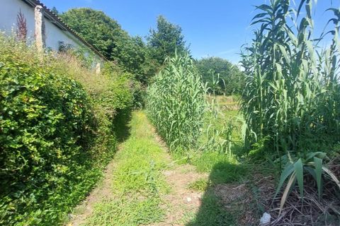 Helårsgrund i Ponte de Lima, Viana do Castelo, Ponte de Lima - € 24.000 | Ref: 5916 - foto 4