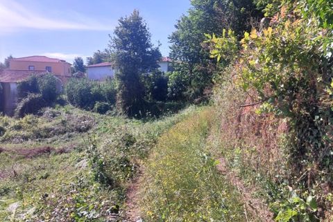 Helårsgrund i Ponte de Lima, Viana do Castelo, Ponte de Lima - € 24.000 | Ref: 5916 - foto 5