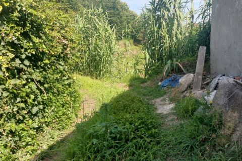 Helårsgrund i Ponte de Lima, Viana do Castelo, Ponte de Lima - € 24.000 | Ref: 5916 - foto 7