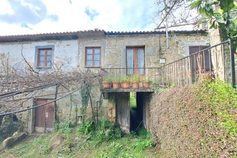 Farm i Gandra e Taiao, Viana do Castelo, Gandra e Taiao - € 798.000 | Ref: 5974 - foto 5