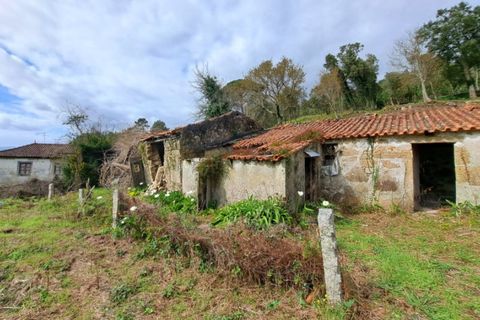 Farm i Gandra e Taiao, Viana do Castelo, Gandra e Taiao - € 798.000 | Ref: 5974 - foto 25