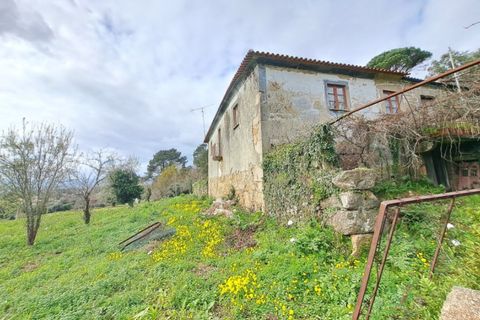 Farm i Gandra e Taiao, Viana do Castelo, Gandra e Taiao - € 798.000 | Ref: 5974 - foto 3