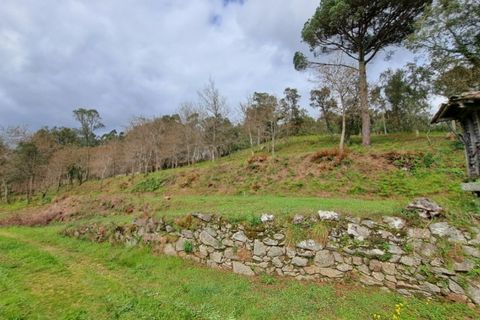 Farm i Gandra e Taiao, Viana do Castelo, Gandra e Taiao - € 798.000 | Ref: 5974 - foto 7