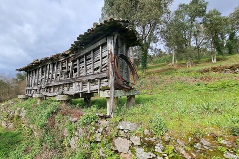 Farm i Gandra e Taiao, Viana do Castelo, Gandra e Taiao - € 798.000 | Ref: 5974 - foto 8