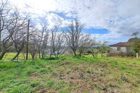 Farm i Gandra e Taiao, Viana do Castelo, Gandra e Taiao - € 798.000 | Ref: 5974 - foto 9