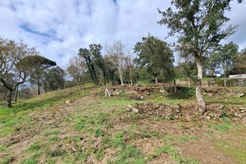 Farm i Gandra e Taiao, Viana do Castelo, Gandra e Taiao - € 798.000 | Ref: 5974 - foto 10