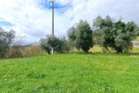 Farm i Gandra e Taiao, Viana do Castelo, Gandra e Taiao - € 798.000 | Ref: 5974 - foto 11