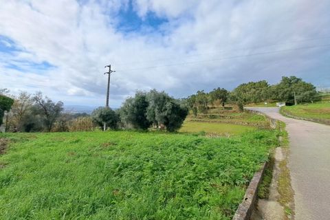 Farm i Gandra e Taiao, Viana do Castelo, Gandra e Taiao - € 798.000 | Ref: 5974 - foto 12