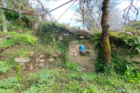 Farm i Gandra e Taiao, Viana do Castelo, Gandra e Taiao - € 798.000 | Ref: 5974 - foto 14