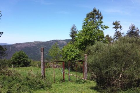 Helårsgrund i Ponte de Lima, Viana do Castelo, Ponte de Lima - € 48.500 | Ref: 5966 - foto 2