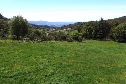 Helårsgrund i Ponte de Lima, Viana do Castelo, Ponte de Lima - € 48.500 | Ref: 5966 - foto 3