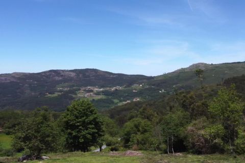 Helårsgrund i Ponte de Lima, Viana do Castelo, Ponte de Lima - € 48.500 | Ref: 5966 - foto 4