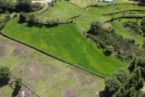 Helårsgrund i Ponte de Lima, Viana do Castelo, Ponte de Lima - € 48.500 | Ref: 5966 - foto 5