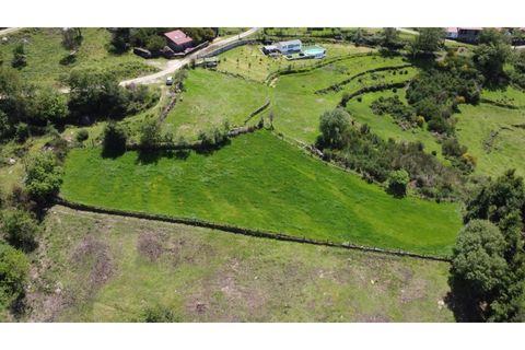 Helårsgrund i Ponte de Lima, Viana do Castelo, Ponte de Lima - € 48.500 | Ref: 5966 - foto 6